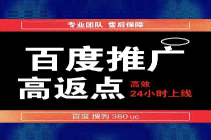 百度SEO推广策略全解析：某企业从零到一的成长历程